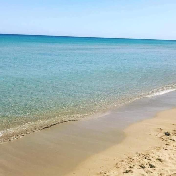 Villa Roby Trappeto  Dış mekan fotoğraf